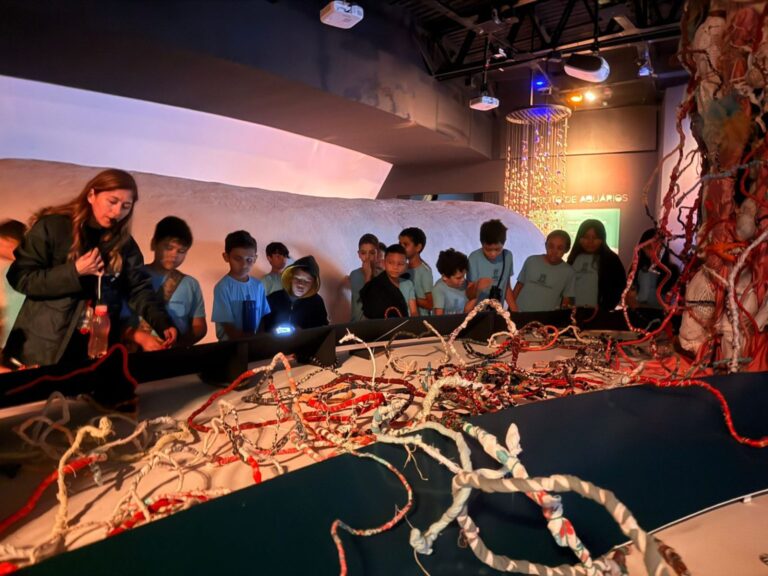 Projeto que une arte, ciência e sustentabilidade ganha espaço no museu do Bioparque Pantanal