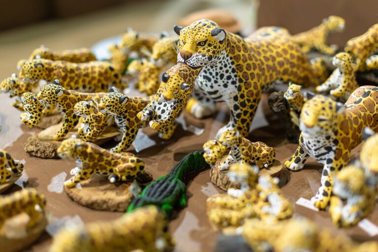 Economia criativa impulsiona desenvolvimento regional e promove inclusão em MS