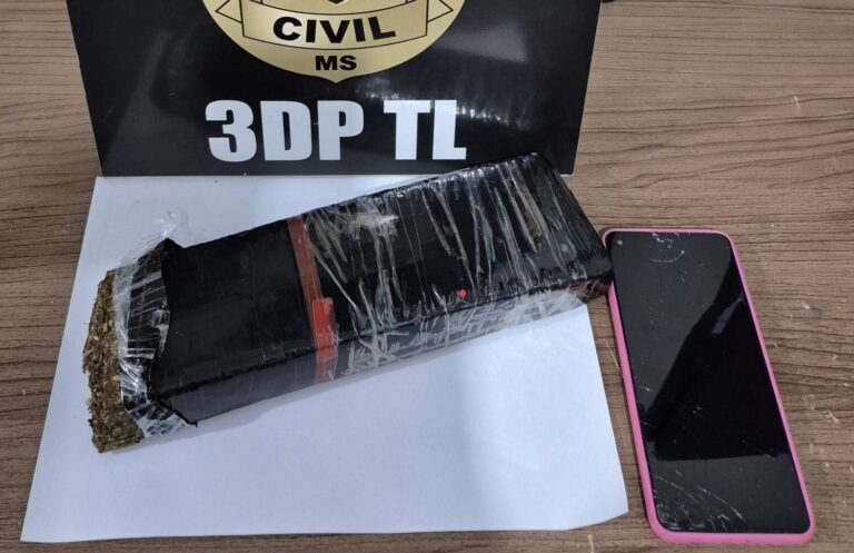 Polícia Civil apreende maconha durante ação de combate ao tráfico de drogas em Três Lagoas