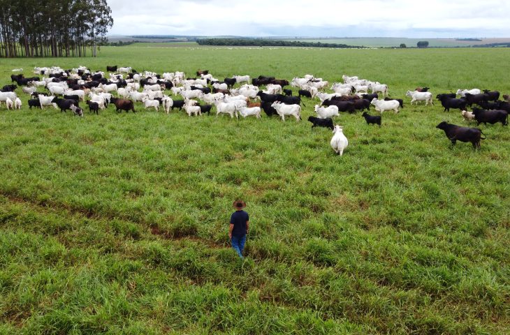 Com maior crescimento do país, agro de MS é fruto de incentivo, modernidade e sucesso do homem do campo