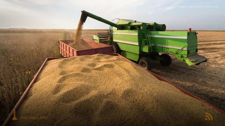 Colheita recorde de soja 2025/26 pressiona fretes agrícolas em Mato Grosso do Sul