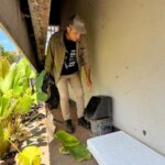 Boletim Epidemiológico: MS registra 2.102 casos confirmados de chikungunya