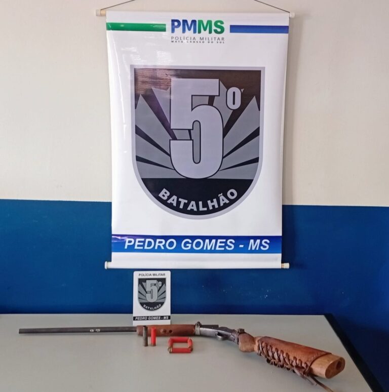 Polícia Militar prende homem por furto e porte ilegal de arma de fogo em Pedro Gomes