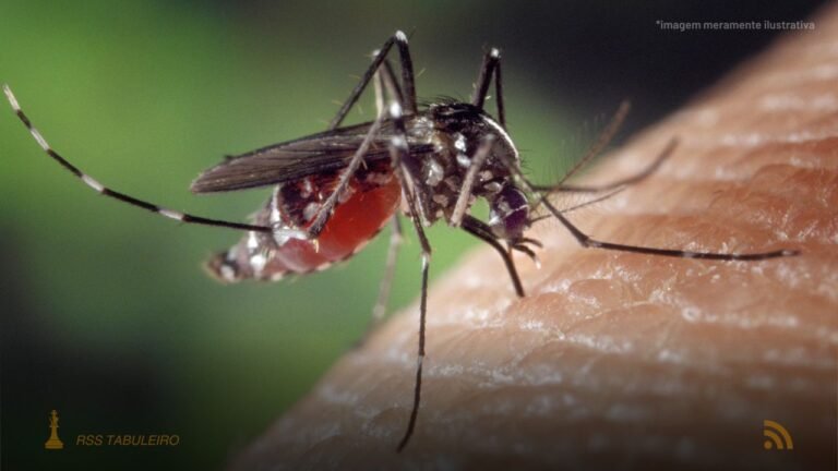 Boletim Epidemiológico: MS registra 9.686 casos confirmados de chikungunya