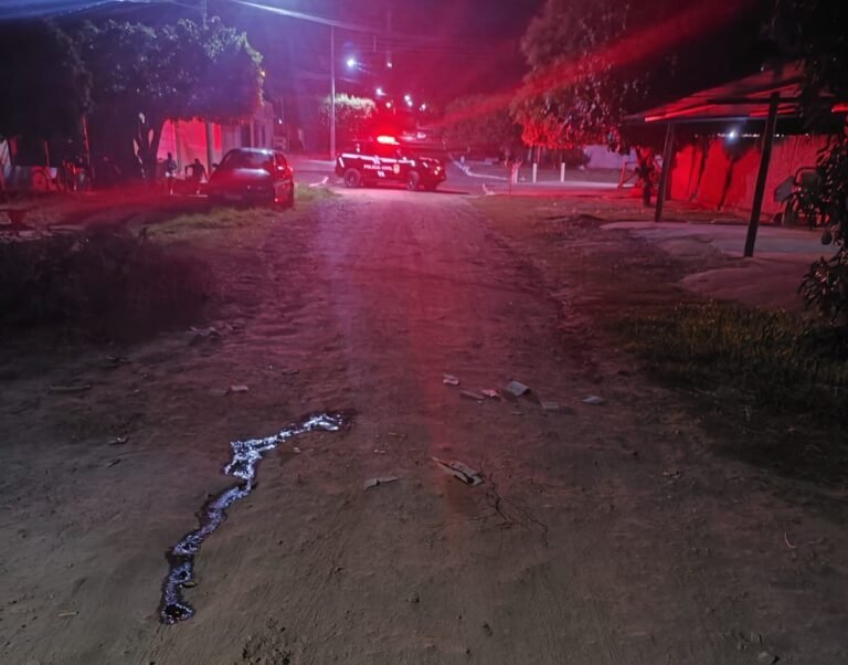 Mulher é conduzida após homem morrer vítima de golpes de faca em Rio Negro
